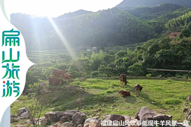 扁山風(fēng)吹草低現(xiàn)牛羊
