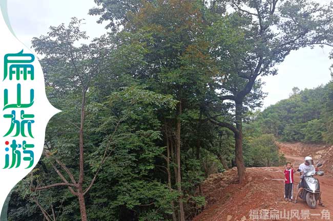 上杭扁山存新開公路道路旁風景