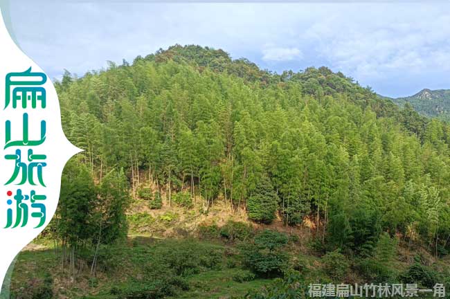 閩西竹林風景區(qū)