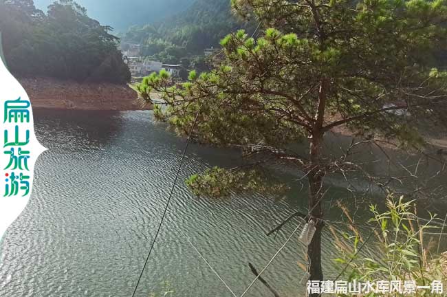 龍巖水庫(kù)釣魚地方