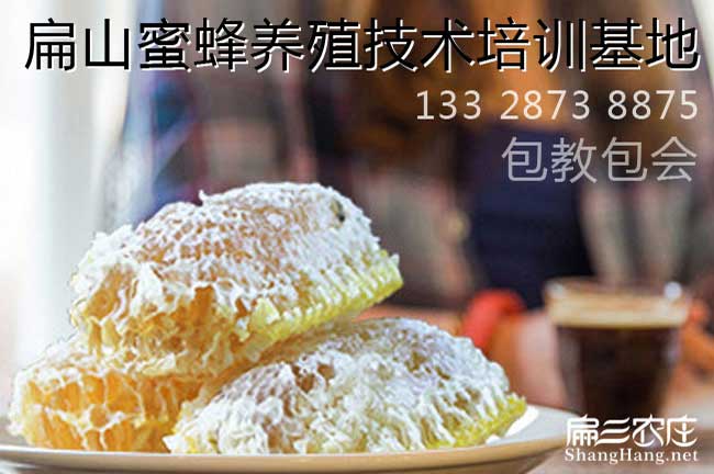 福建蜜蜂養(yǎng)殖技術(shù)培訓
