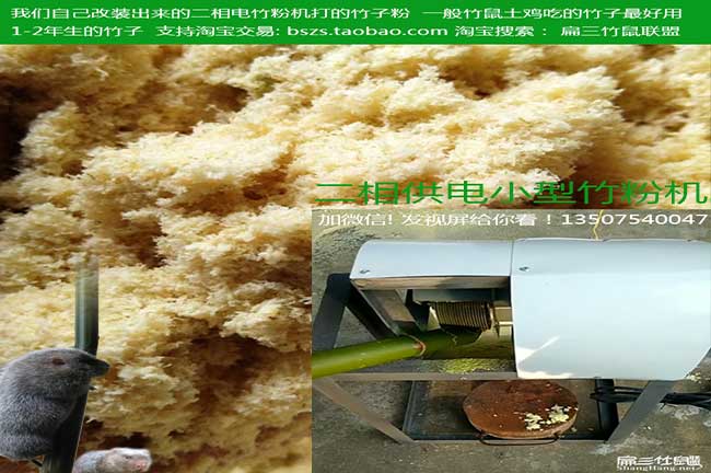 四川竹鼠養(yǎng)殖設(shè)備