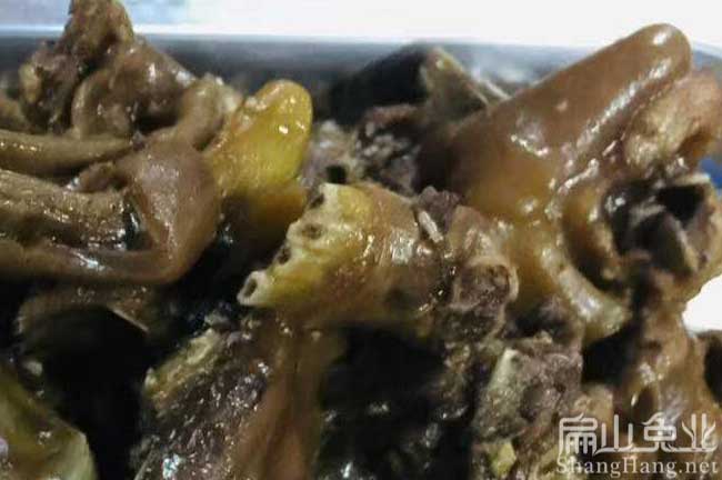 福建肉兔批發(fā)
