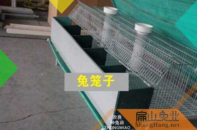 福建兔籠設(shè)備