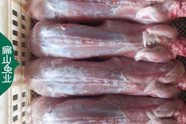 肇慶肉兔價(jià)格