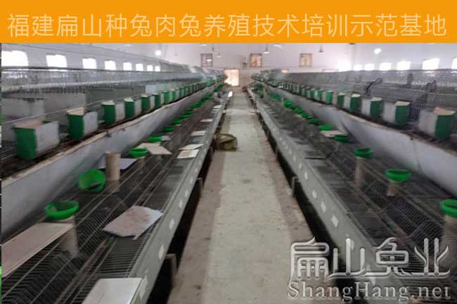 三明竹鼠養(yǎng)殖技術(shù)培訓(xùn)基地