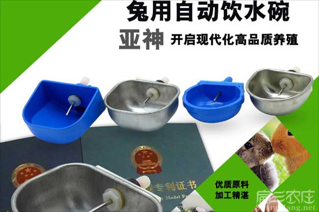 扁山江西的楊梅樹苗培育標準貨基地 贛州水晶黑高峰東魁9元