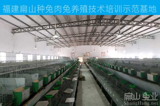 中國種兔養(yǎng)殖基地