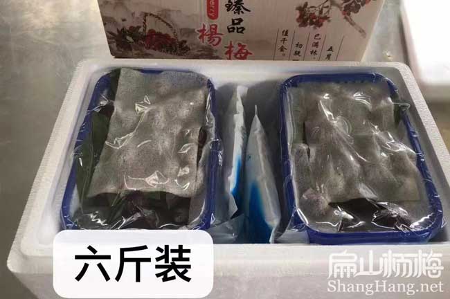 吉安6斤裝楊梅價(jià)格