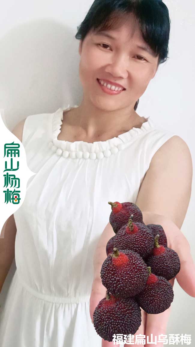 莆田黑高峰楊梅批發(fā)