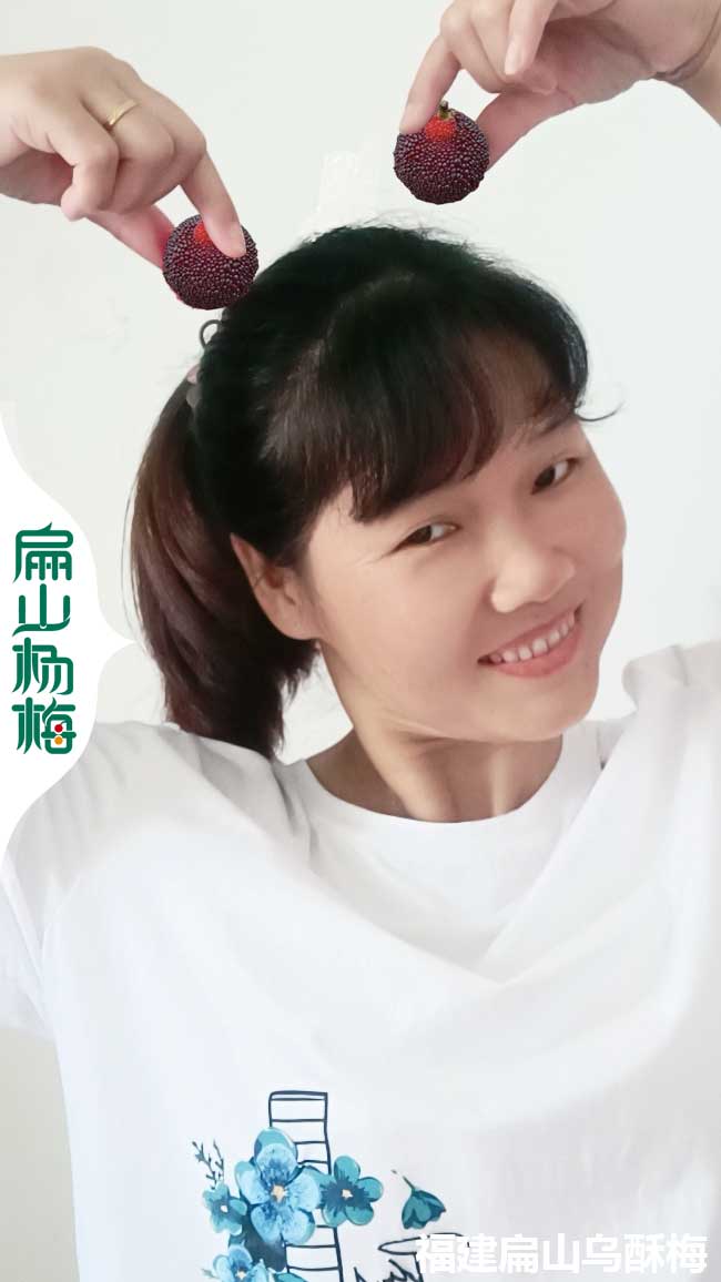 4號(hào)楊梅苗 廣西百色烏酥二都水晶東魁楊梅苗培育基地9元/KE
