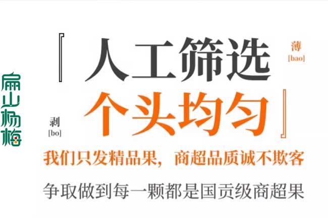 福建楊梅收購(gòu)