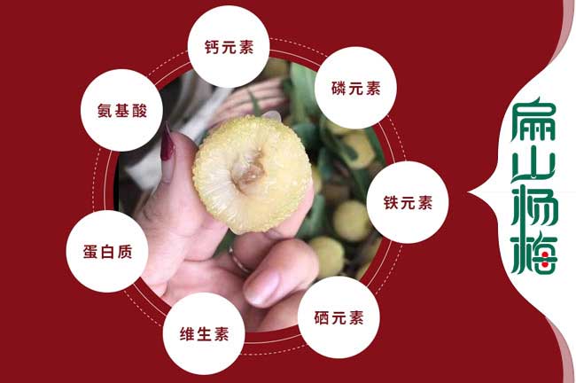 贛州楊梅營養(yǎng)價值