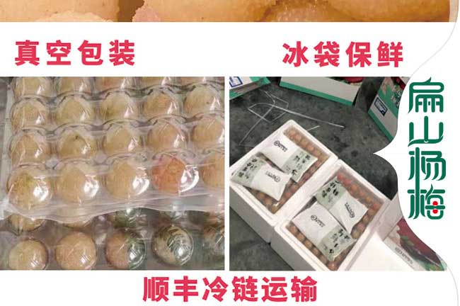 張家界楊梅包裝