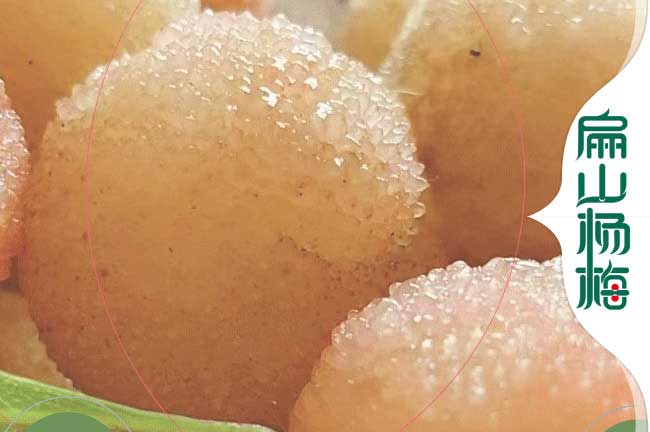甘孜水晶楊梅收購(gòu)