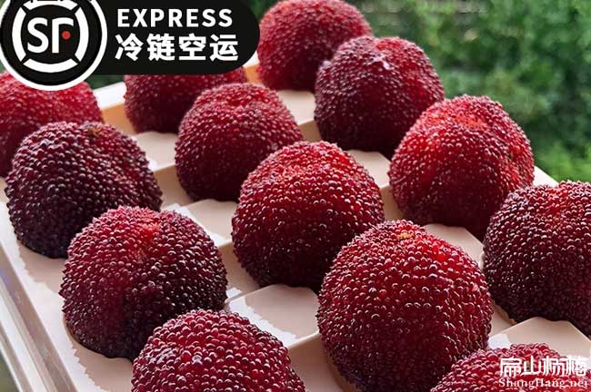 懷化臺梅