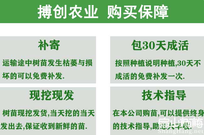 楊梅購(gòu)買(mǎi)售后服務(wù)