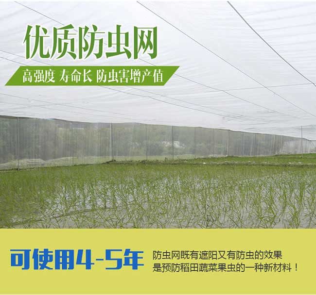 朱馬店國(guó)內(nèi)集油茶