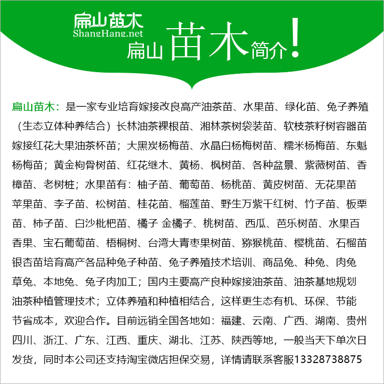 扁山苗木簡(jiǎn)介