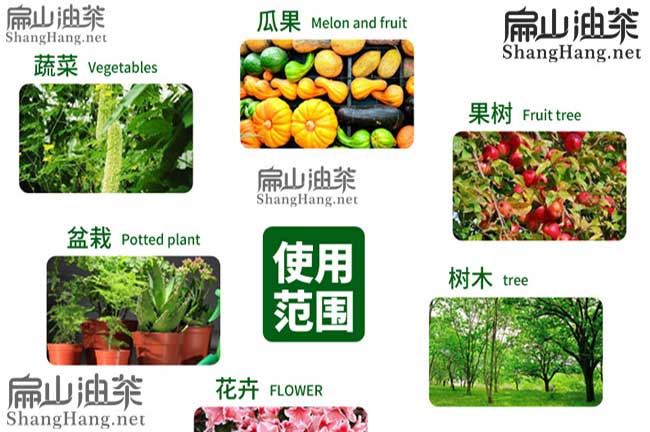 油茶復(fù)合肥