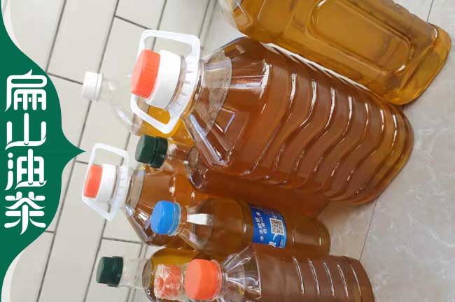 長(zhǎng)林茶油批發(fā)