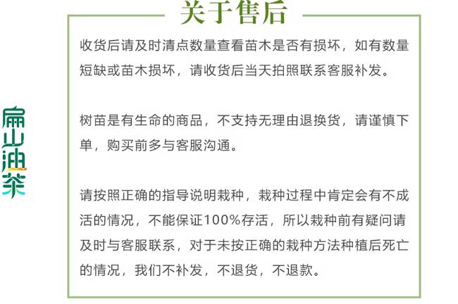 南陽關(guān)于茶苗售后