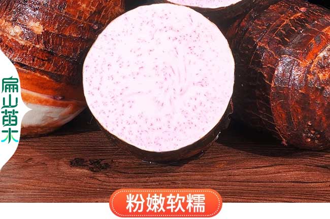 龍巖粉冰糖芋頭價格
