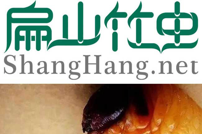 ?？谥裣x養(yǎng)殖