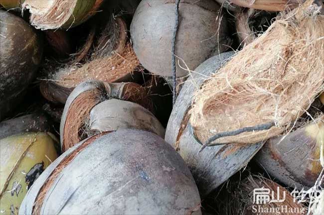 河池椰子皮批發(fā)