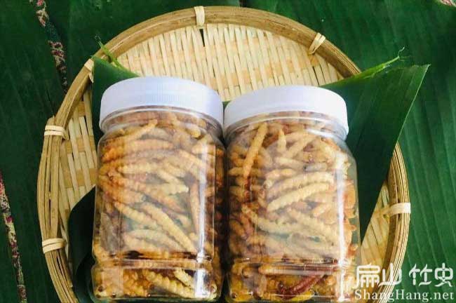融水竹蟲批發(fā)