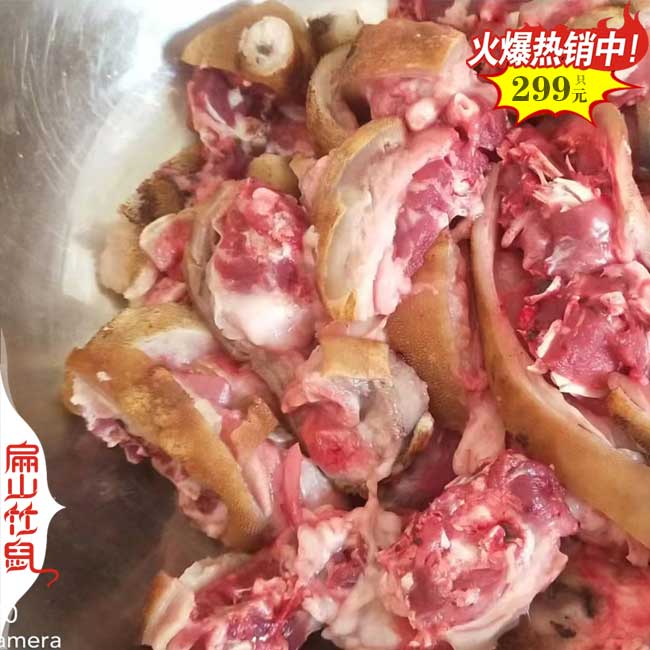 2024年廣西竹鼠養(yǎng)殖基地發(fā)100對(duì)紅頰種苗到福建三明養(yǎng)殖場(chǎng)
