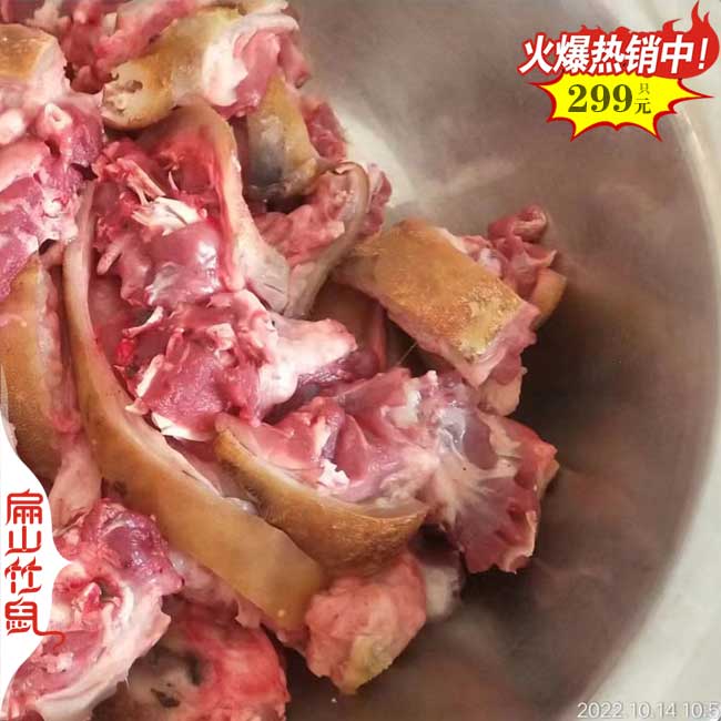 2024未來湖南竹鼠養(yǎng)殖前景 價格成本 利潤技術(shù)經(jīng)驗分享