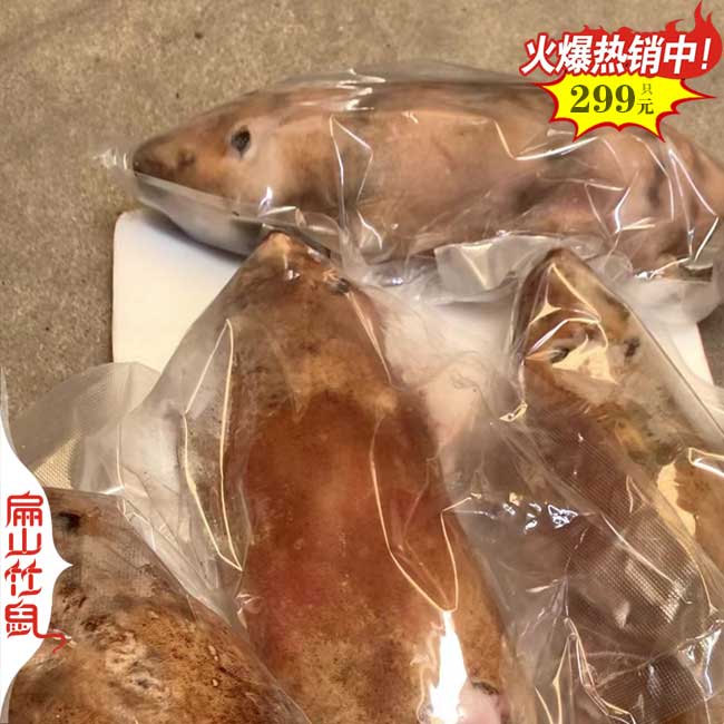 規(guī)模化2024十堰隨州竹鼠豚鼠竹鼠養(yǎng)殖基地 種苗1斤1公2-3母