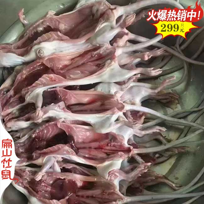 廣東浙江竹鼠養(yǎng)殖 江西廣西現(xiàn)殺活體多少錢一斤 種苗480元