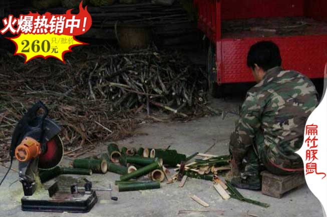永州竹鼠養(yǎng)殖基地 Hunan永州100對紅頰竹鼠種苗多少錢一只