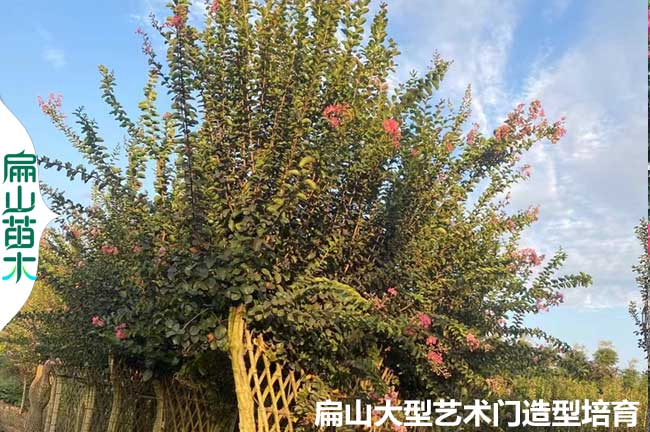 湖南紫薇大門(mén)造型