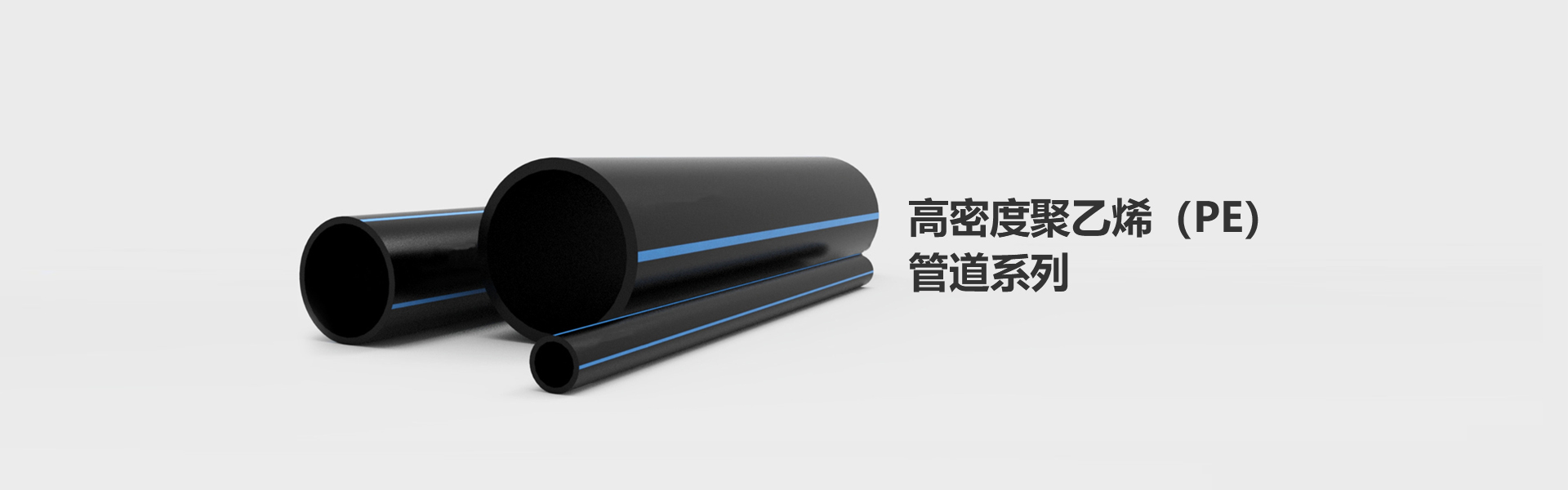 廣西茶籽樹(shù)種植