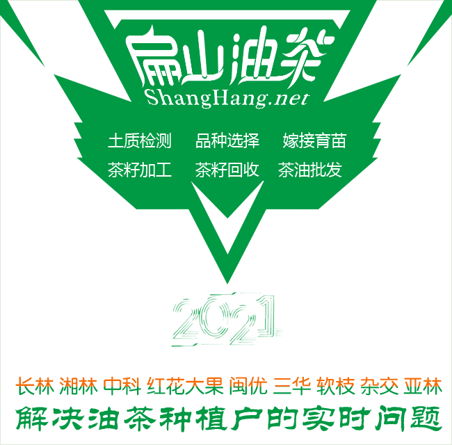 中國油茶基地