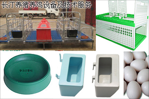 長(zhǎng)汀養(yǎng)雞養(yǎng)豬設(shè)備