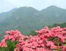 FuB(yng)ֳ(chng)h(yun)