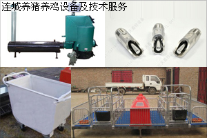 連城養(yǎng)豬養(yǎng)雞設(shè)備