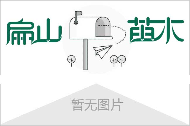 扁山池州馬鞍山的金線蓮'林下仿野生'種植種苗批發(fā)0.66元