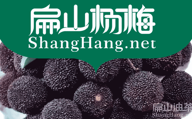 攸縣楊梅苗批發(fā)