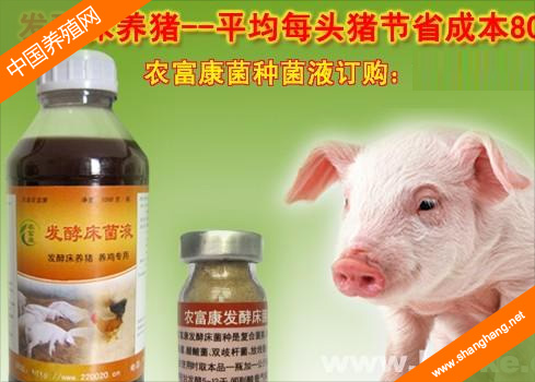 中國扁山養(yǎng)藥批發(fā)中心