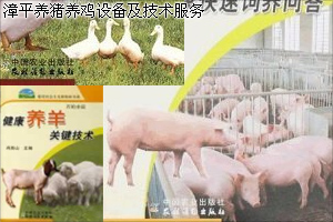 漳平養(yǎng)雞養(yǎng)豬設(shè)備