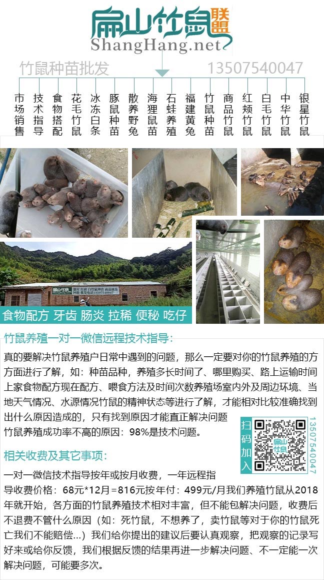 扁山竹鼠養(yǎng)殖場